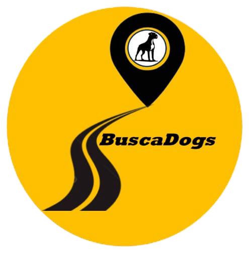 logotipo-buscadogs-transparente